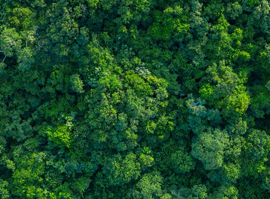 Panasonic Green Impact