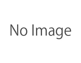 XNTS52481DLJ9031