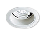 LED Adjustable Downlight