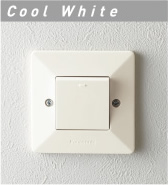 Cool White