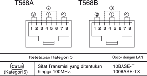 T568A T568B