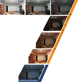 7Modes